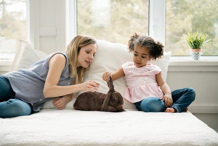 Kevin Robinson's Heating & Cooling | Lancaster, Kershaw, Lugoff, Camden, Indian Land, Heath Springs, SC | Sweet little girl and her mom sit on bed with a cute rabbit ram during easter holidays